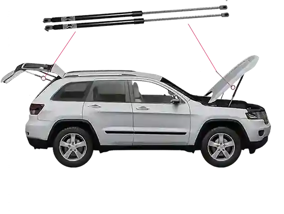 Hood and Trunk Support